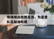 爱游戏平台官网下载电脑版-现场观众热情高涨，为喜爱队伍加油助威
