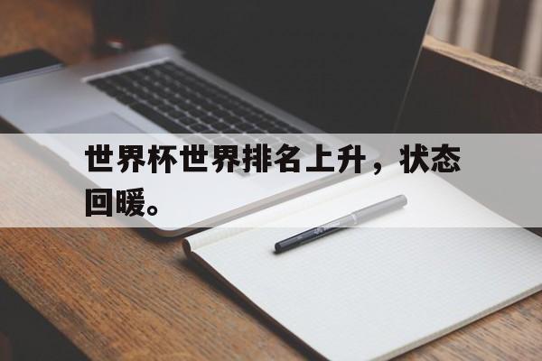 世界杯世界排名上升，状态回暖。